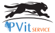 Pvit service logo