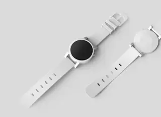 Luxury watch